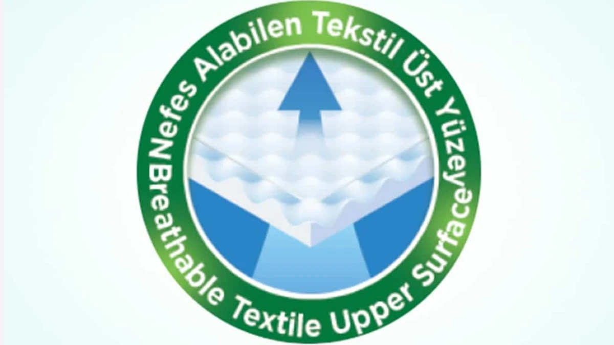 Evony Yetişkin Hasta Bezi Large 30 Adet 